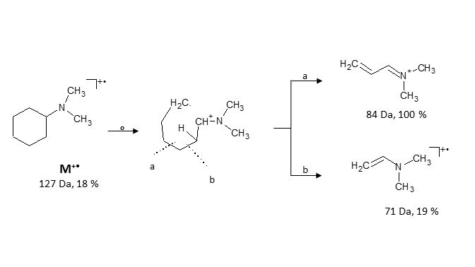 Dimethyl Cyclohexyl Amine Under Electron Ionization